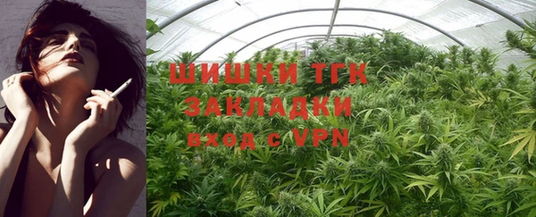 стафф Володарск