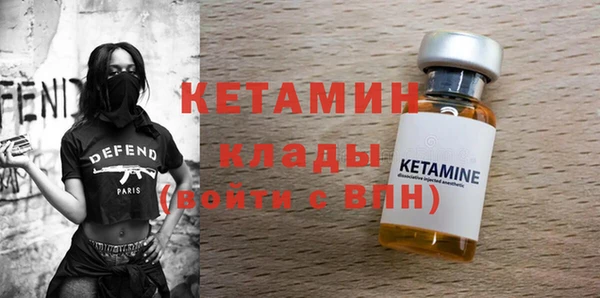 молекула духа Вяземский